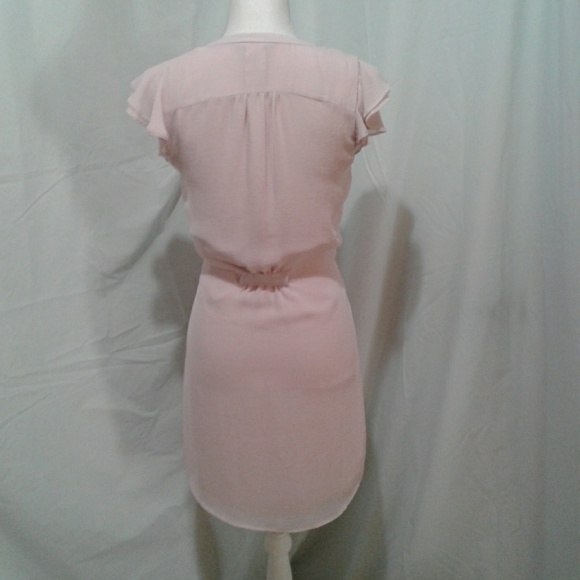 🌺 Blush Pink H&M Shift Dress - Picture 4 of 7